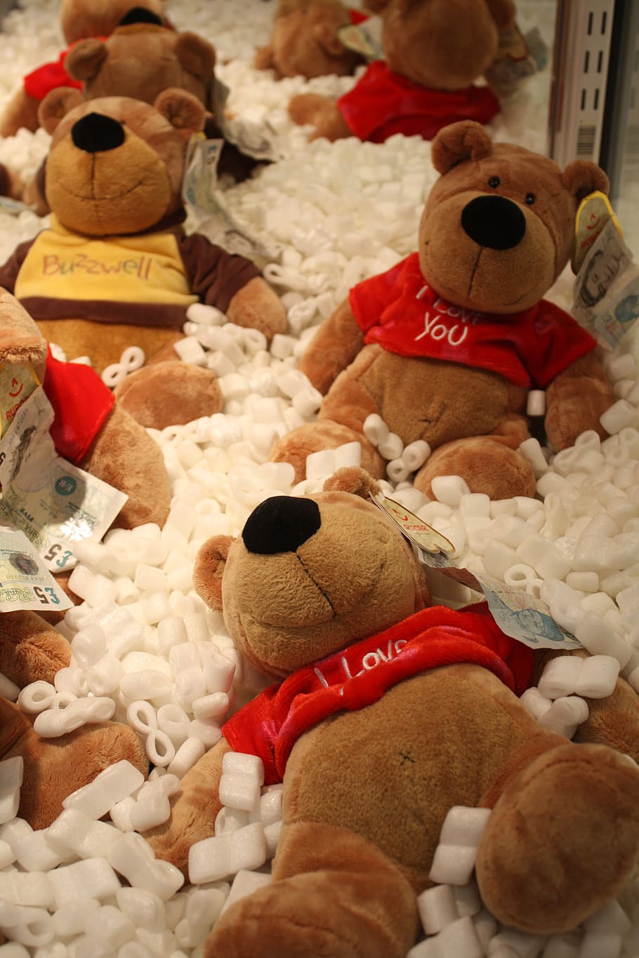 teddy bear, prize, win, trophy, cuddly toy, hug, waiting, love, HD wallpaper