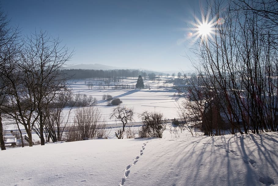 winter, traces, wintry, snow, nature, cold, white, winter mood HD wallpaper