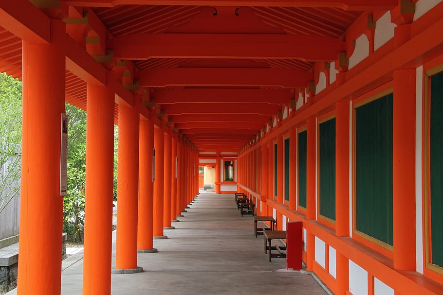 aisle, columns, orange, architecture, hall, building, structure HD wallpaper