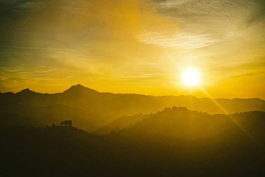forest dawn, environment, sky, sun, sunlight, sunbeam, mountain HD wallpaper