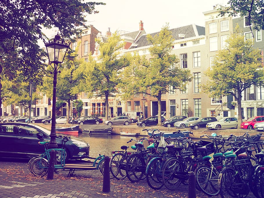 Street river. Город Амстердам жилые улицы. Великобритания цветы на улицах на дороге. Города на Миссисипи улица цветочный бульвар 87.