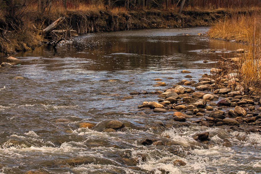 nature, river, stream, landscape, water, outdoors, wilderness HD wallpaper