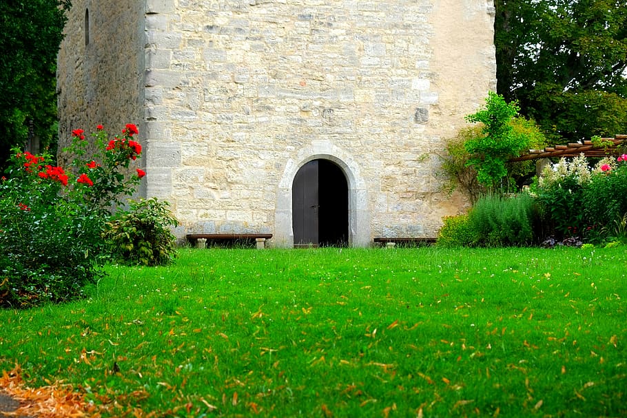 Green Plants Near Building, architecture, bricks, door, flora HD wallpaper