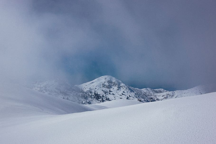 snow, winter, white, cold, weather, ice, nature, fog, cold temperature HD wallpaper