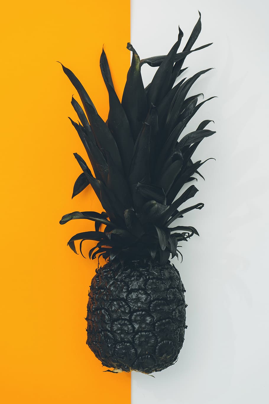 black pineapple fruit, plant, food, scott webb photography, canada HD wallpaper