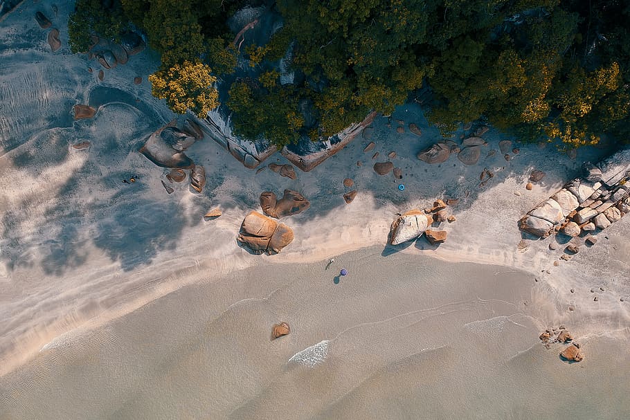 Aerial Photography of Beach Shore With Trees Nearby, aerial shot