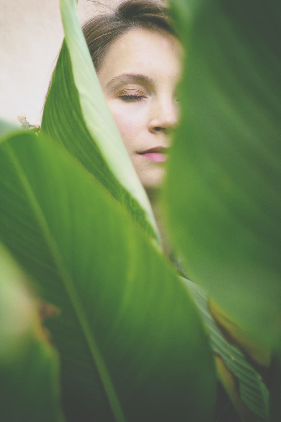 Woman Closing Her Eyes at the Back of Green Leaves, close-up HD wallpaper