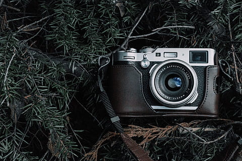 black and gray film camera with black case on green pine tree leaves HD wallpaper