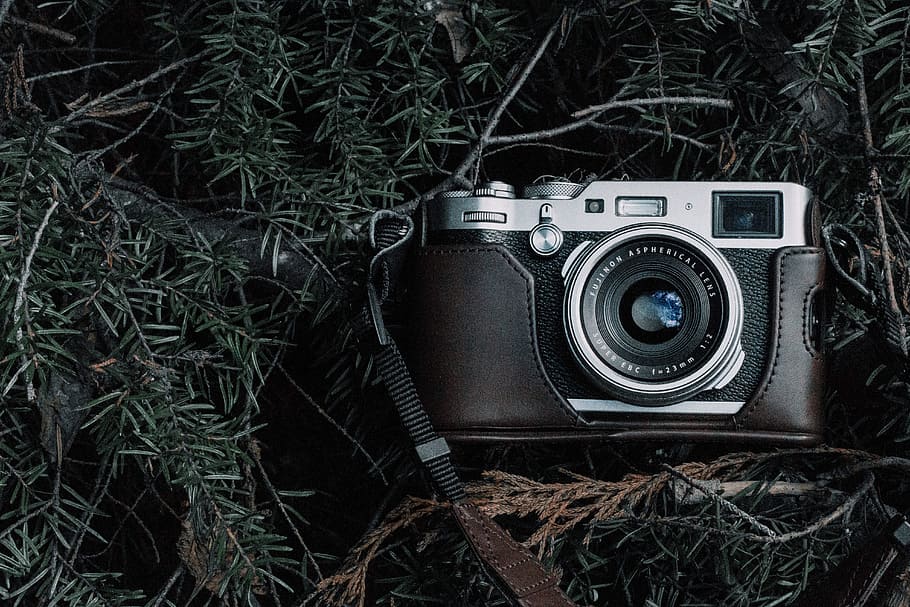 black and gray film camera with black case on green pine tree leaves, HD wallpaper