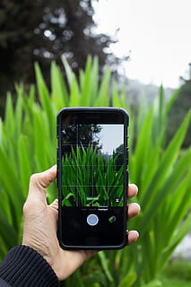 oneplus 5, green, grass, trees, camera, picture in picture HD wallpaper