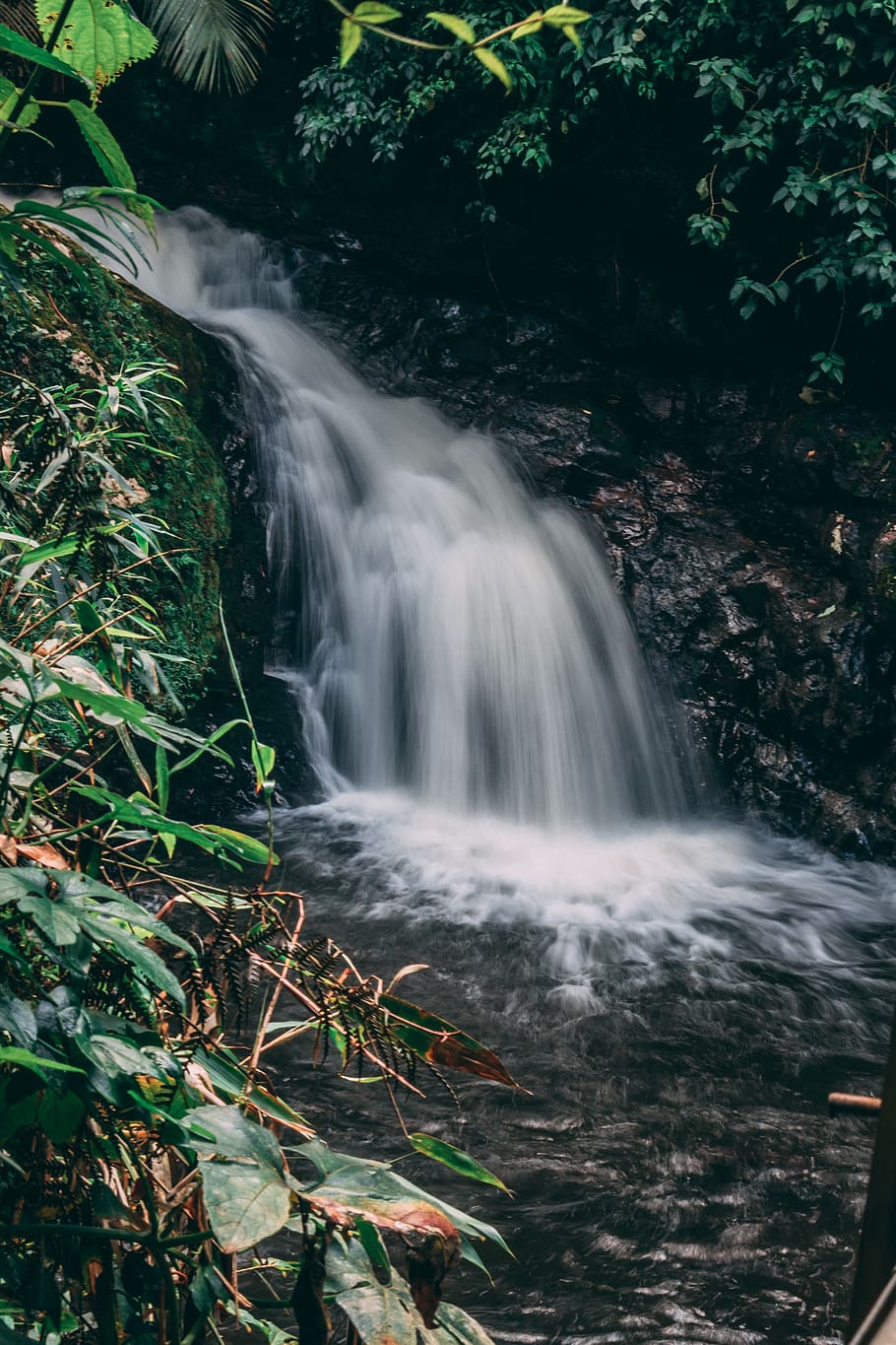 brazil, corupá, waterfall, forest, scenics - nature, tree HD wallpaper