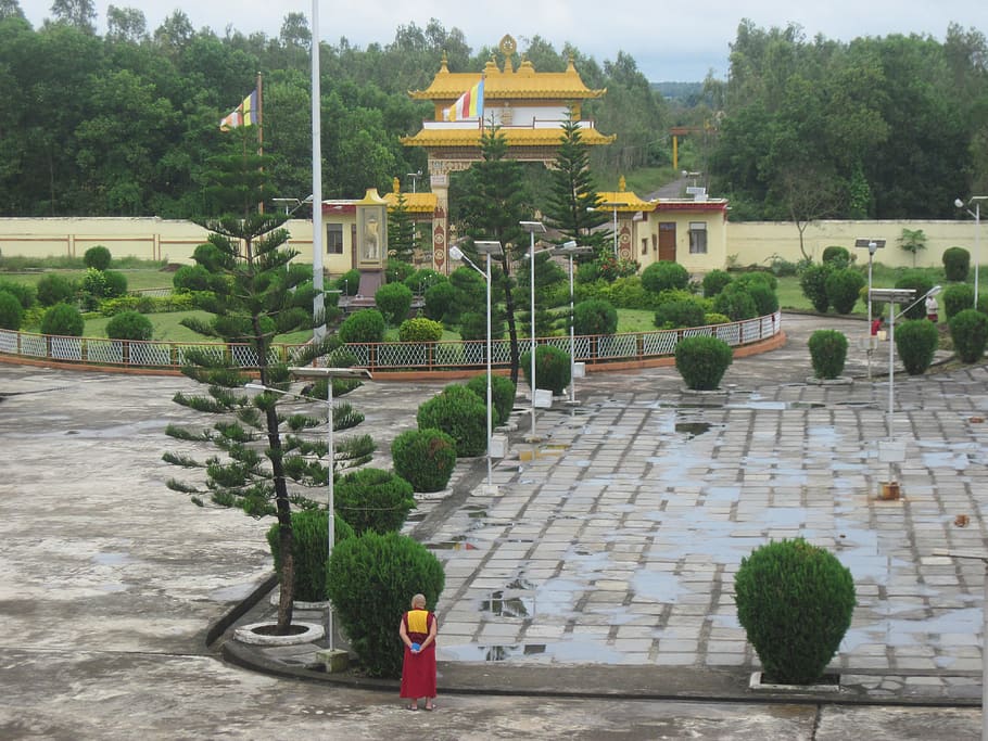 india, karnataka, monk, buddhist, temple, plant, architecture HD wallpaper