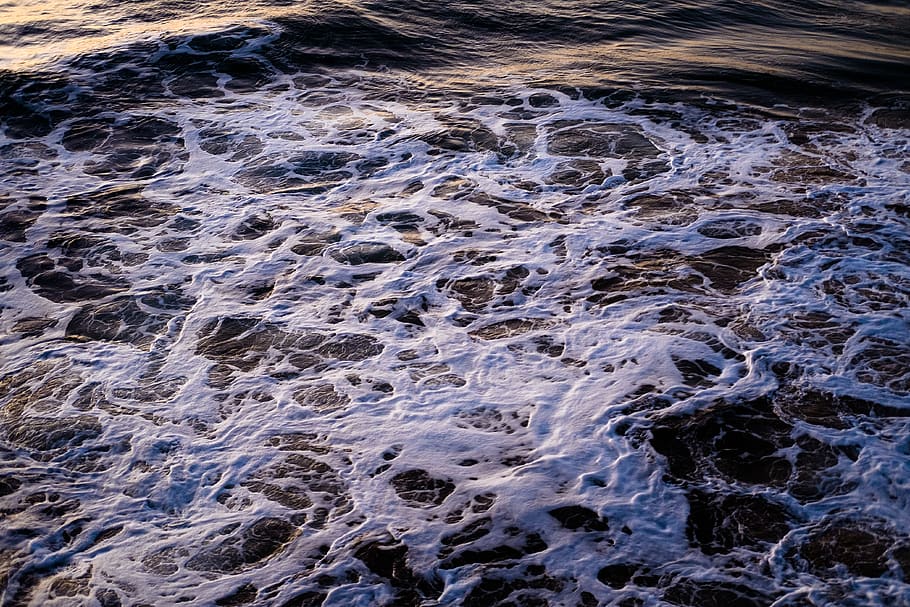 water, motion, land, surfing, beauty in nature, sea, aquatic sport HD wallpaper
