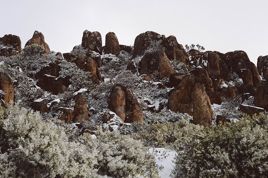 australia, hobart, snow, rock, tasmania, winter, tree, mt wellington