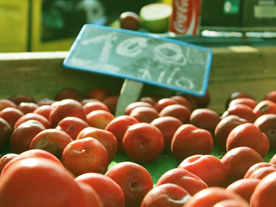 netherlands, rotterdam, healthy eating, food and drink, wellbeing HD wallpaper