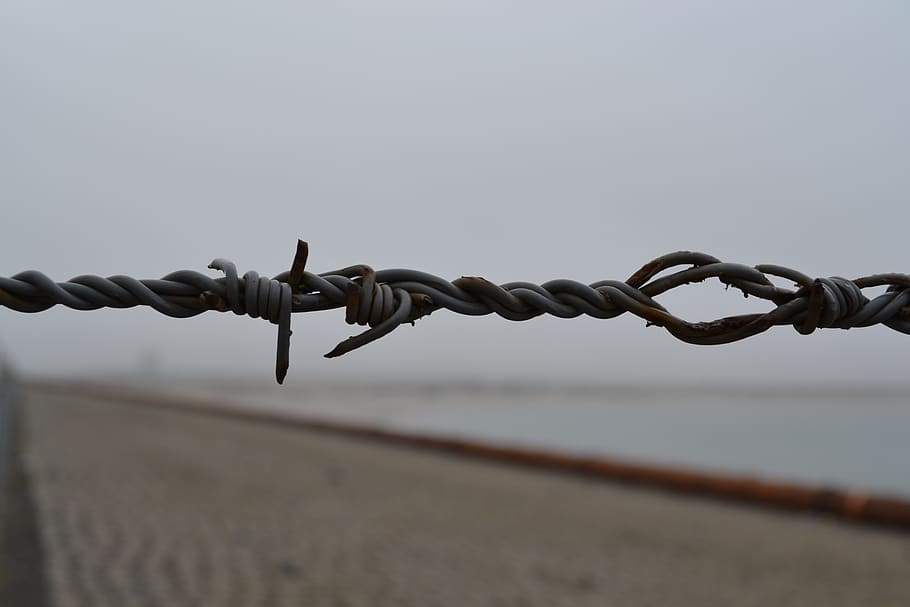 barbed wire, barb wire, thread, fence, border, barrier, safety HD wallpaper