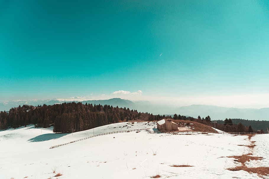 trees, forest, mountain, snow, sky, clouds, fog, winter, cold temperature HD wallpaper
