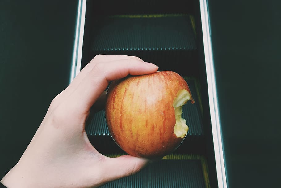 Apple, fruit, hand, food and drink, human hand, human body part HD wallpaper