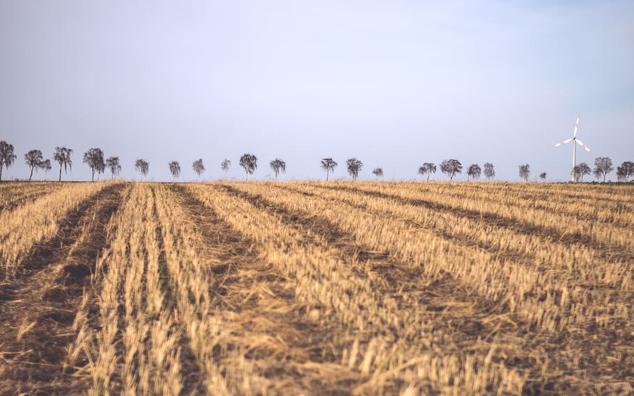 agriculture, trees, simple, daytime, pinwheel, field, land HD wallpaper