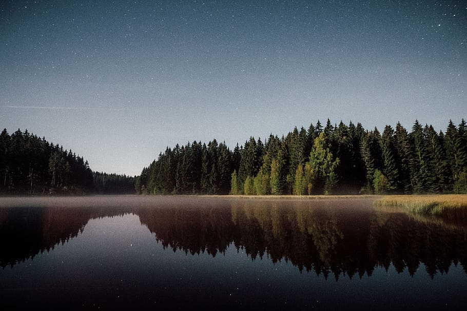green trees and body of water, landscape, star, reflection, long exposure HD wallpaper