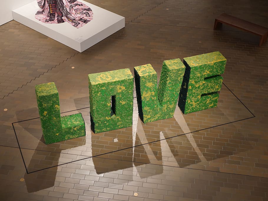 love, gallery, grassy, indoors, green color, table, wood - material HD wallpaper