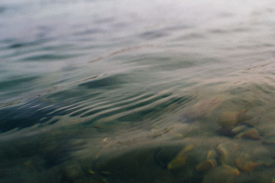 clear water, rock, stone, wave, lake, sea, ocean, ripple, close up HD wallpaper