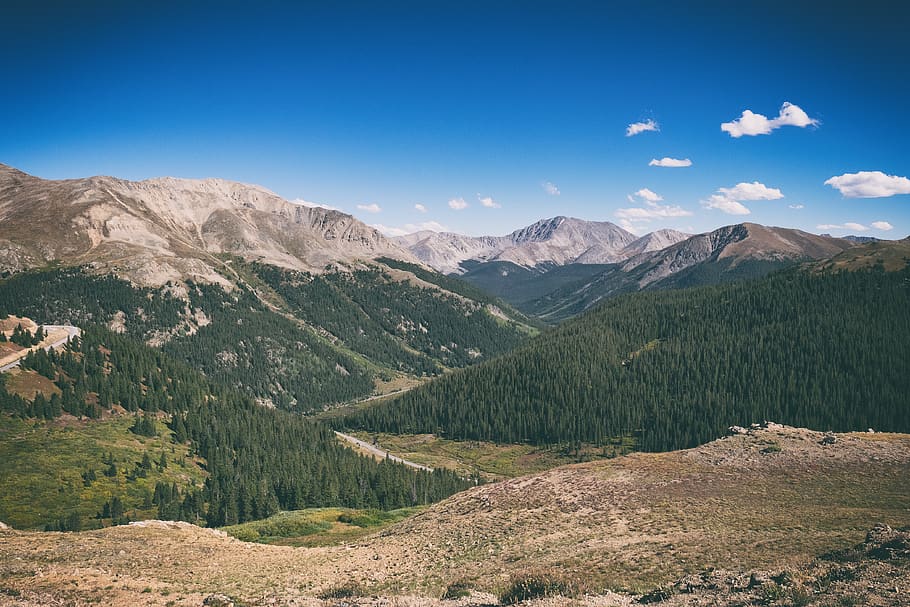 united states, independence pass, forest, mountain, mountains, HD wallpaper