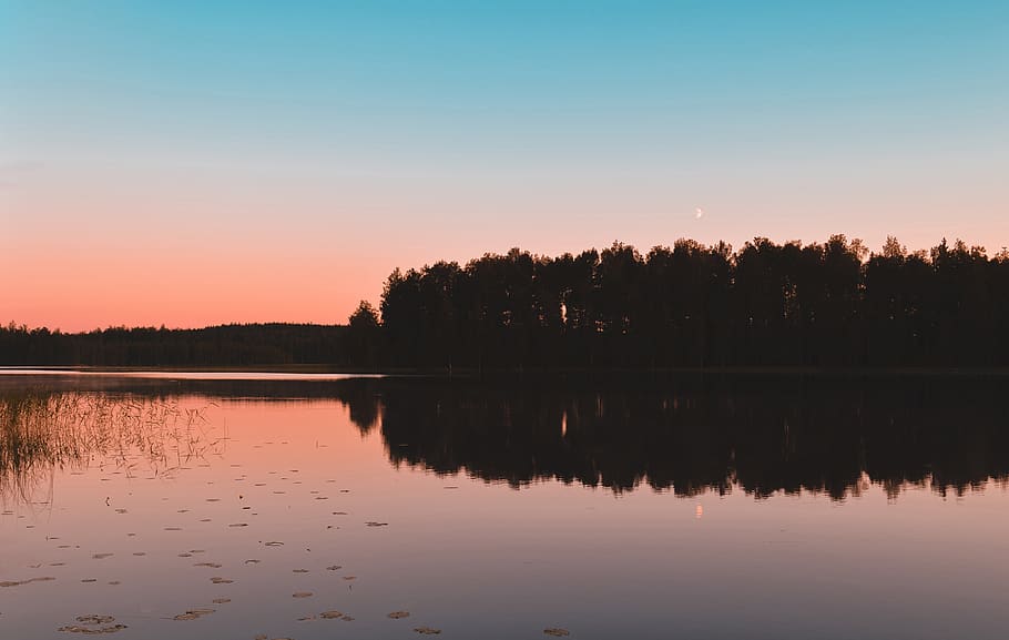 Reflection of Trees on Lake, calm, dawn, environment, Finland HD wallpaper