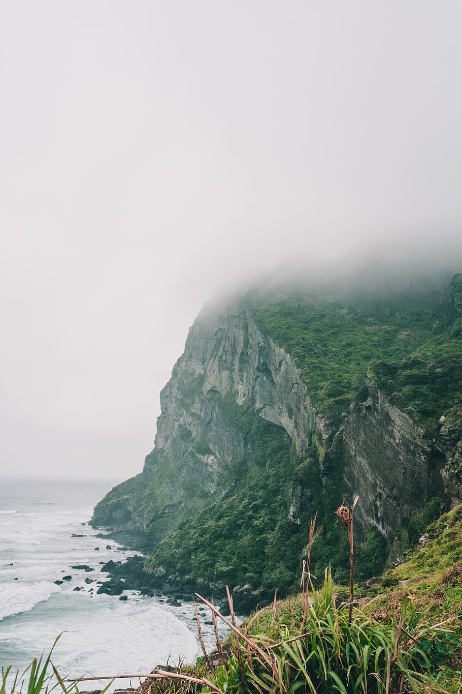 seaside cliff, coast, outdoors, nature, grass, south korea, plant HD wallpaper