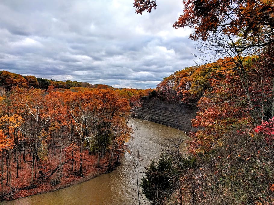 river between trees, united states, 23731001b, north olmsted HD wallpaper