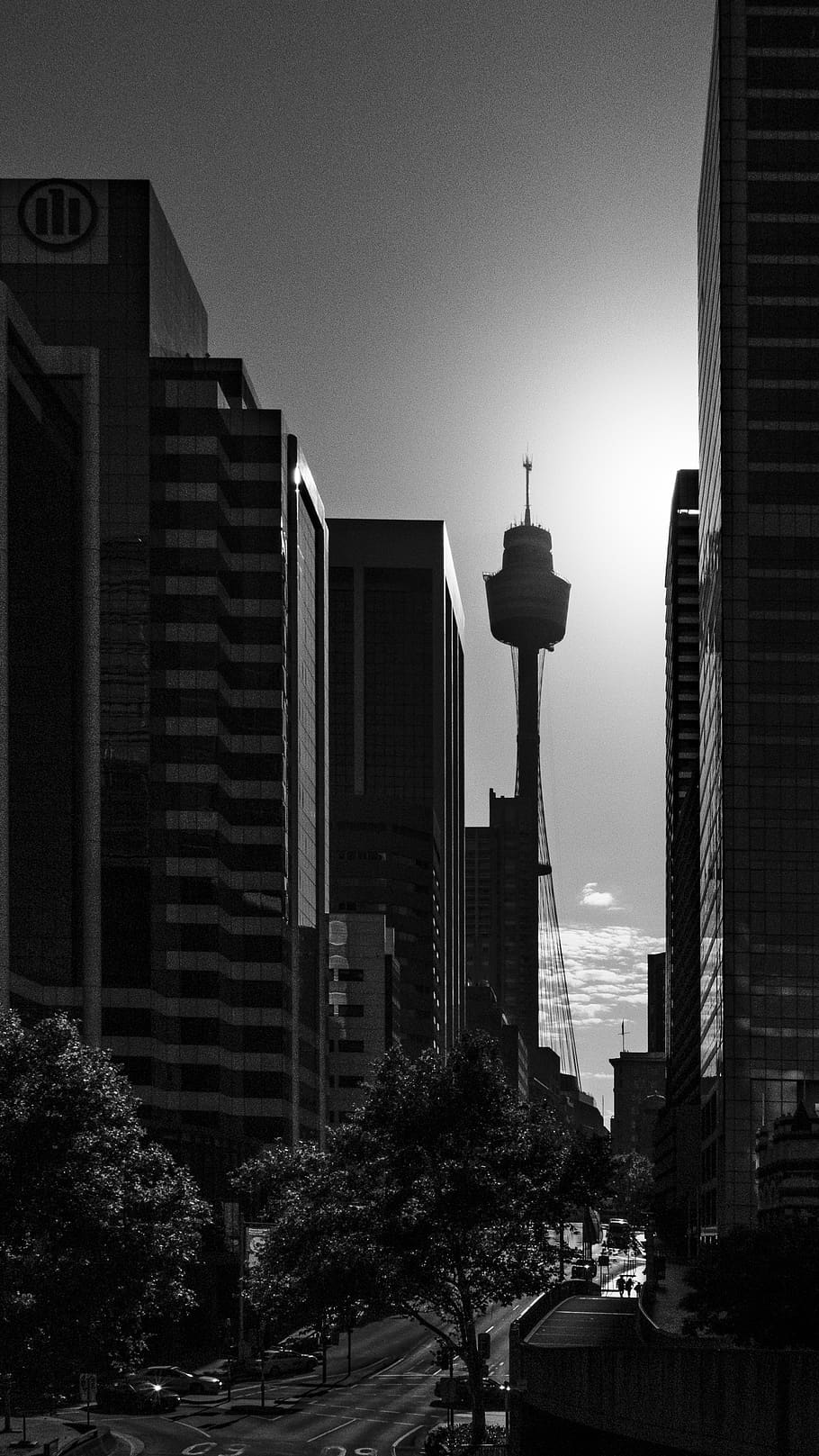 australia, sydney, centre, point, tower, tree, road, car, city, HD wallpaper