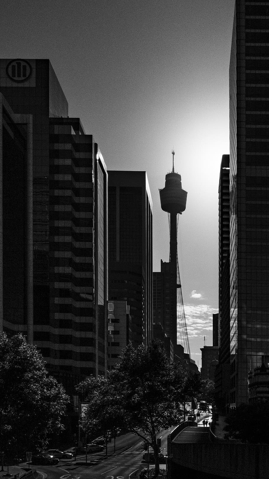 australia, sydney, centre, point, tower, tree, road, car, city HD wallpaper