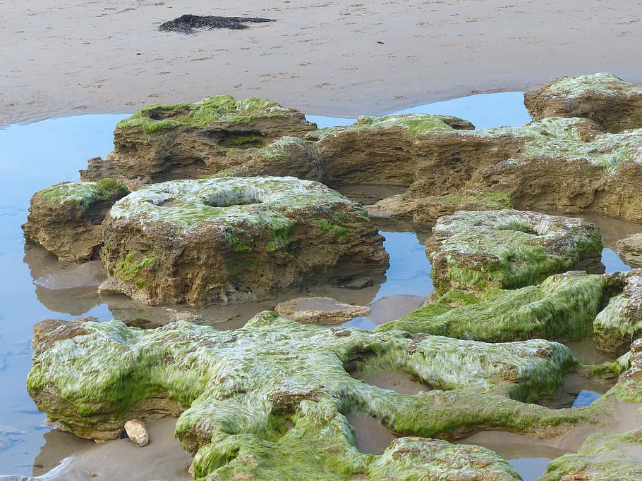 rock pools, beach, ocean, rocks, seashore, barwon heads, water HD wallpaper