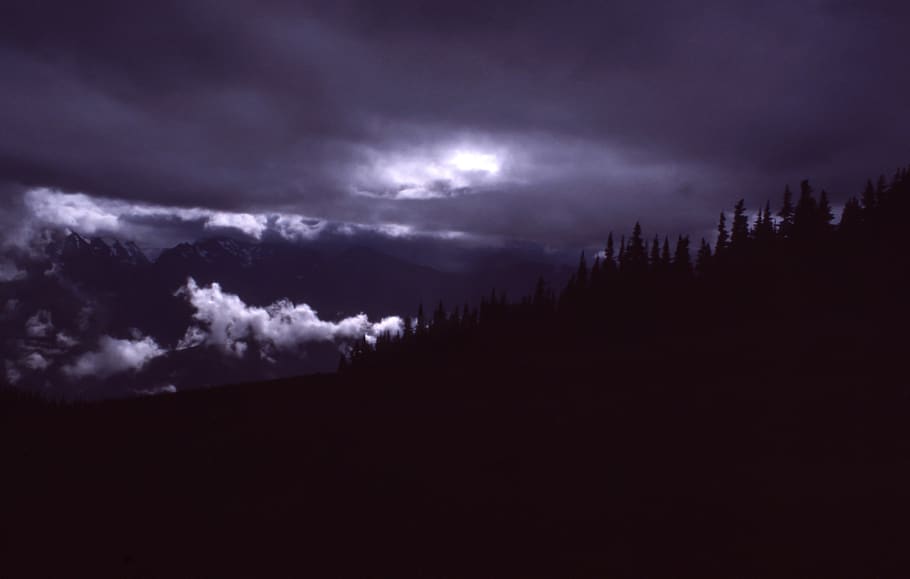 dark, night, clouds, sky, trees, nature, shadow, cloud - sky HD wallpaper