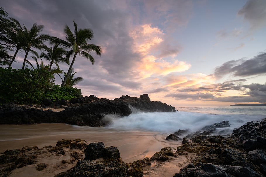 sunset, sand, water, rock, lava, wallpaper, sea, ocean, palm HD wallpaper