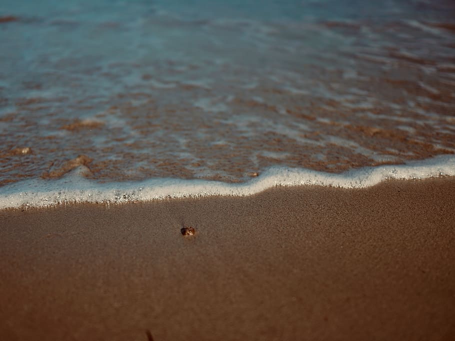 calm ocean, sand, water, foam, outdoors, nature, filter, color HD wallpaper