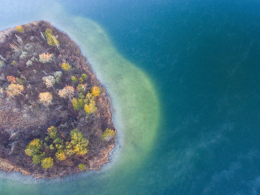 tree, plant, nature, fall, autumn, aerial, view, sea, ocean HD wallpaper