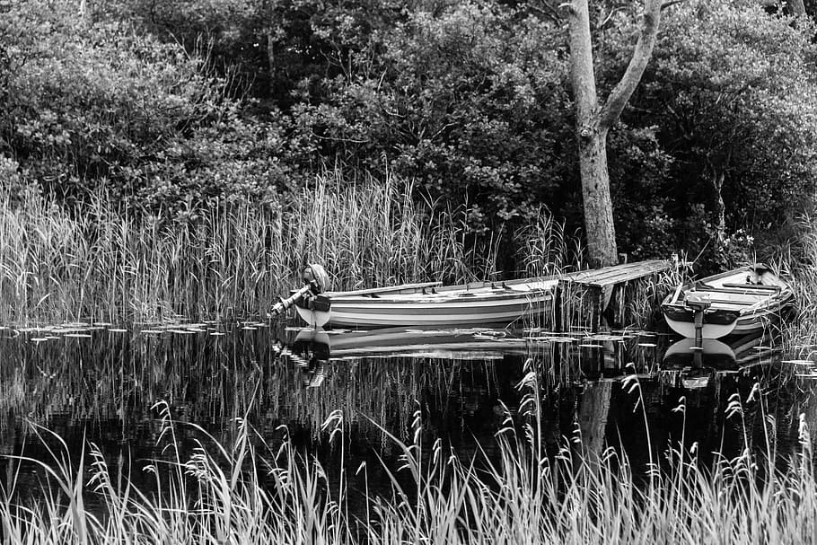 ireland, boat, tree, dock, lake, black and white, forest, plant HD wallpaper