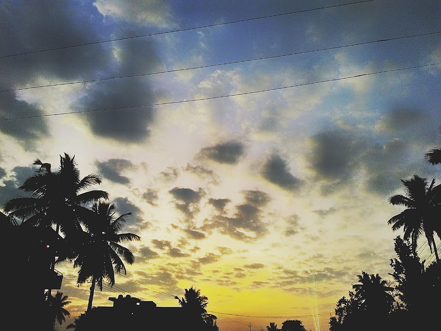 sunset, palm, trees, blue, sky, clouds, cloud - sky, silhouette HD wallpaper