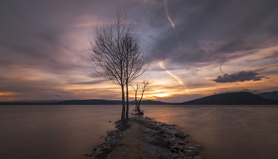 tree, lake, water, nature, landscape, trees, clouds, reflection HD wallpaper