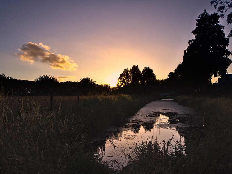 sky, sunset, plant, tree, water, tranquility, scenics - nature HD wallpaper
