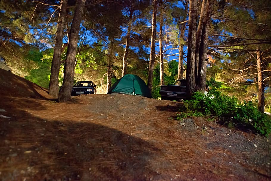 auto, camp, camper, campsite, car, evening, illuminated, night HD wallpaper