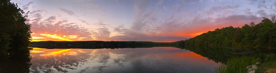 Trees and Body of Water, calm, clouds, coast, dawn, evening, horizon HD wallpaper