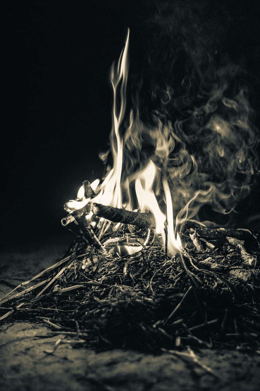 grayscale photo of bonfire, flame, giraffe, animal, wildlife