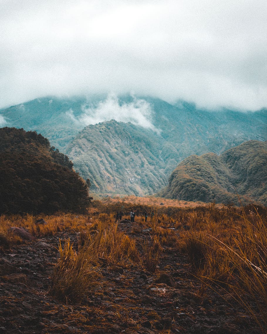 Cloudy Mountain , clouds, daylight, fog, grass, landscape, nature HD wallpaper