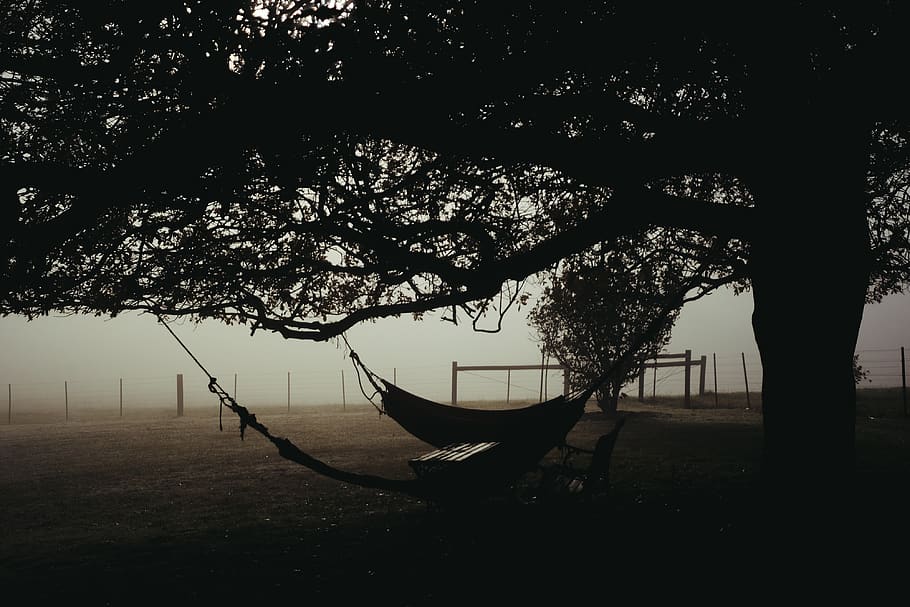 hammock, mist, morning, tree, plant, nature, no people, nautical vessel HD wallpaper