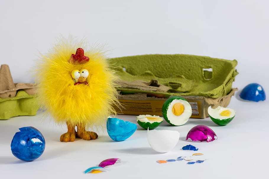 chicken, easter eggs, chicks, egg carton, decoration, plush, HD wallpaper