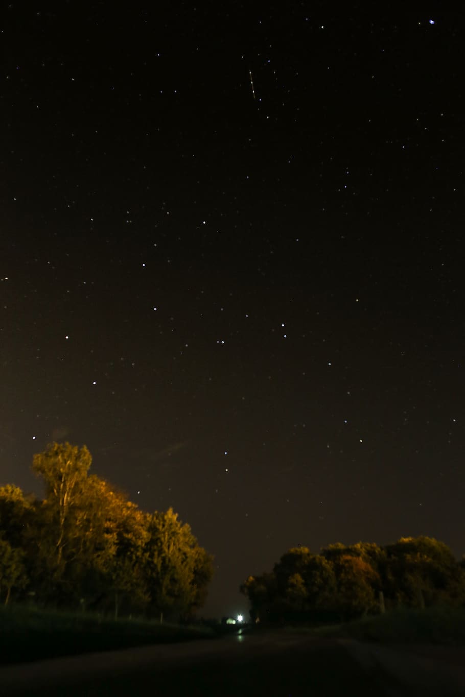 road, forest, sky, night, stars, black, nature, wild, tree HD wallpaper