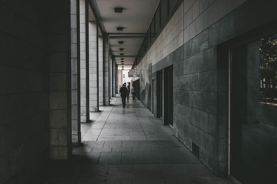 grayscale of person waking in the middle of wall, city, building HD wallpaper