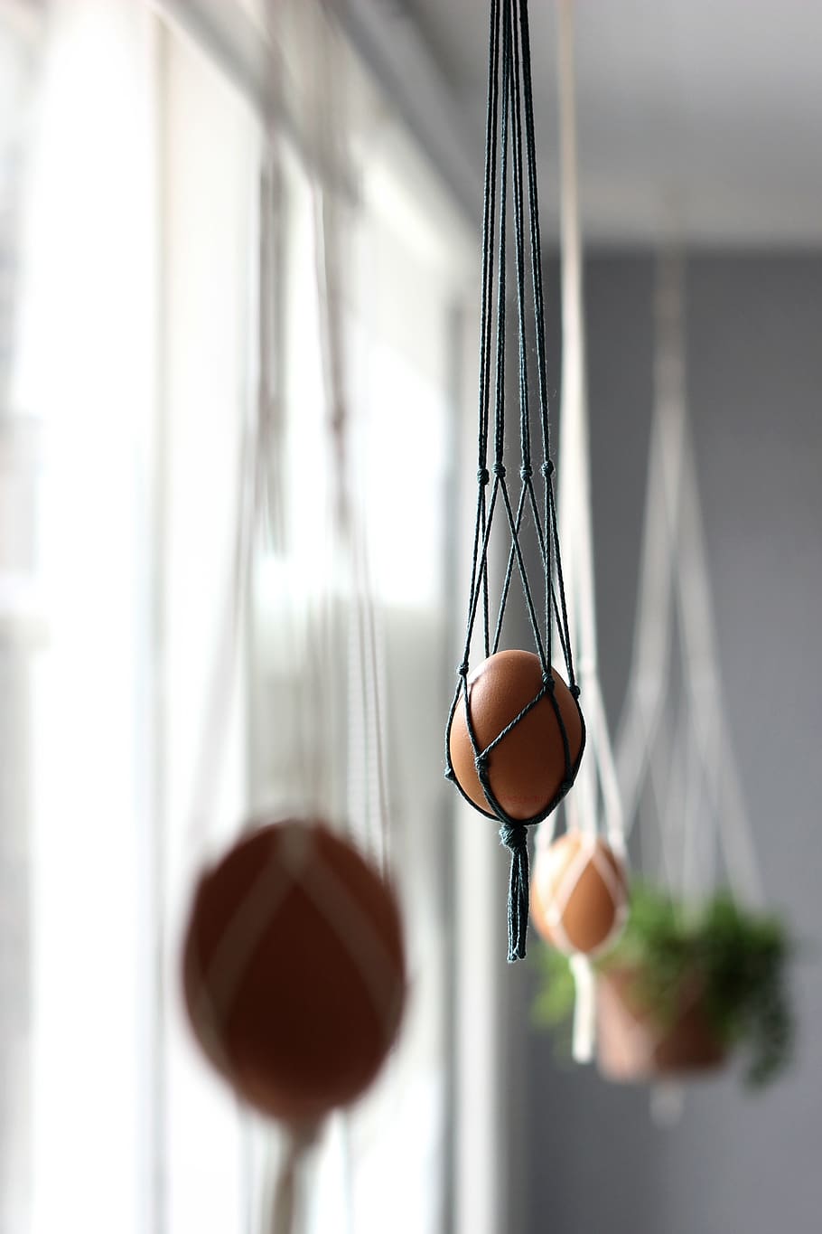 hanging organic egg beside window, day, focus on foreground, basketball - sport HD wallpaper